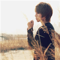 ���ı�����BL��