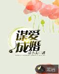 谋爱成婚